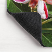 Ananas Guava / Guavasteen Blume Mousepad (Ecke)