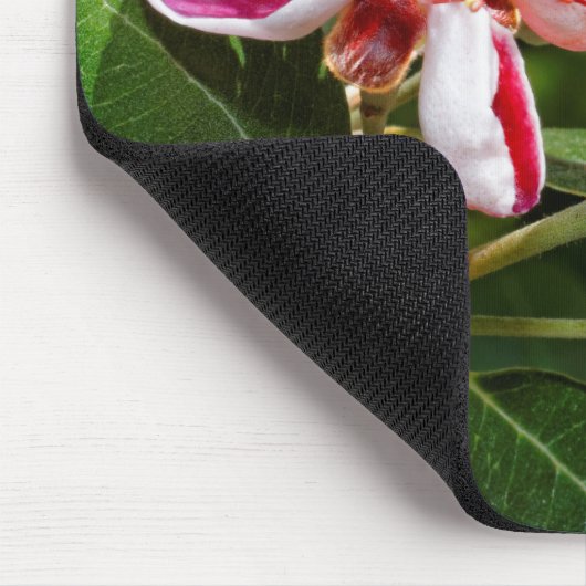 Ananas Guava / Guavasteen Blume Mousepad (Ecke)
