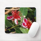 Ananas Guava / Guavasteen Blume Mousepad (Mit Mouse)
