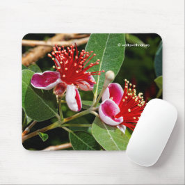 Ananas Guava / Guavasteen Blume Mousepad