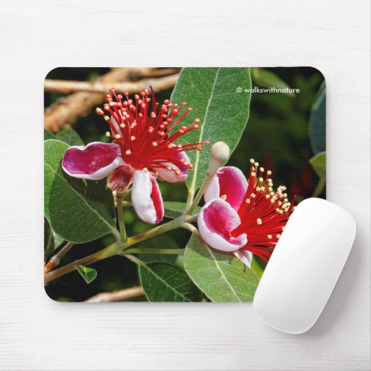 Ananas Guava / Guavasteen Blume Mousepad (Mit Mouse)