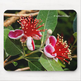 Ananas Guava / Guavasteen Blume Mousepad