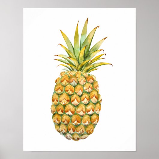 Ananas-Illustrationspaket Poster (Vorne)