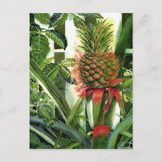 Ananas im Dschungel Postkarte (Vorderseite)