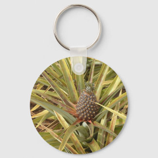 Ananas im Paradies Schlüsselanhänger