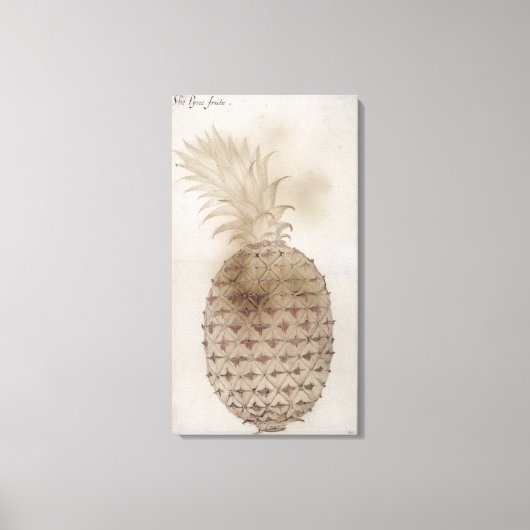 Ananas, Leinwanddruck (Vorderseite)