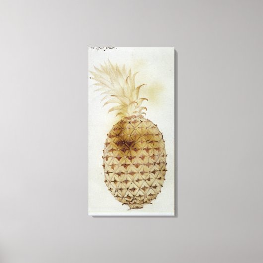 Ananas Leinwanddruck (Vorderseite)