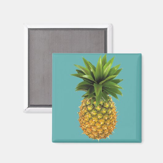 Ananas Magnet (Vorderseite/Rückseite)