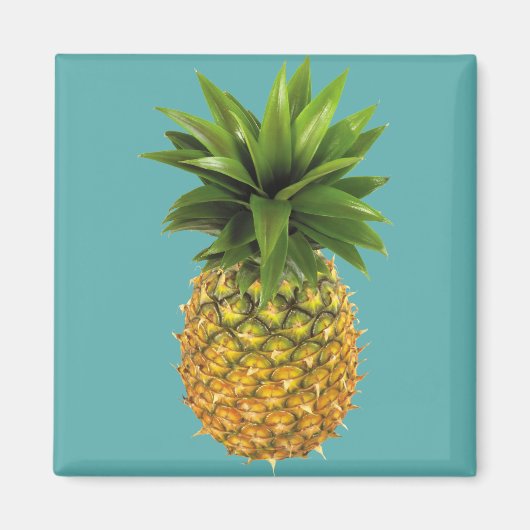 Ananas Magnet (Vorne)