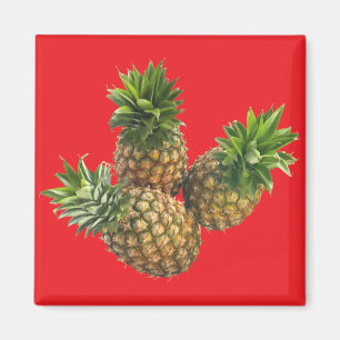 Ananas Magnet