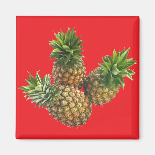 Ananas Magnet (Vorne)