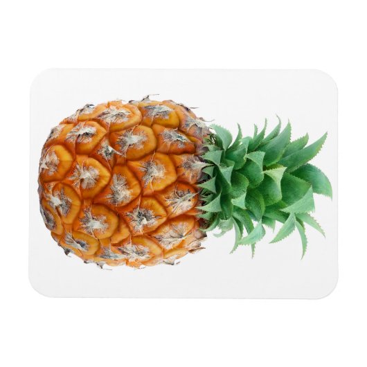 Ananas Magnet (Horizontal)