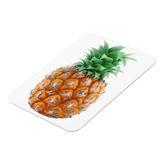 Ananas Magnet (Linke Seite)