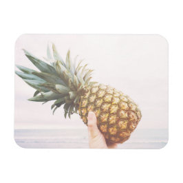 Ananas Magnet