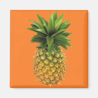 Ananas Magnet