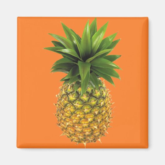 Ananas Magnet (Vorne)