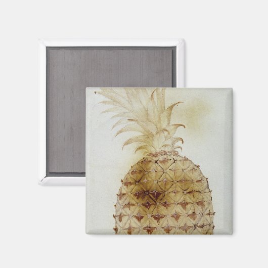 Ananas Magnet (Vorderseite/Rückseite)