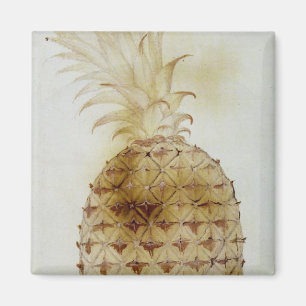 Ananas Magnet