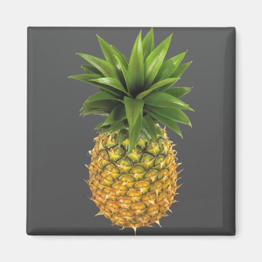 Ananas Magnet (Vorne)