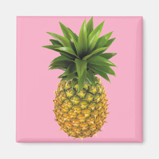 Ananas Magnet