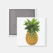 Ananas Magnet (Vorderseite/Rückseite)