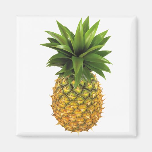 Ananas Magnet (Vorne)