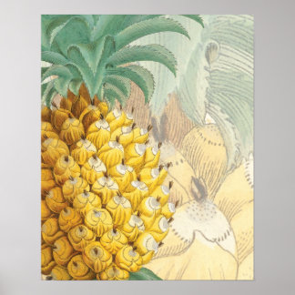 Ananas mit Erweiterung Poster