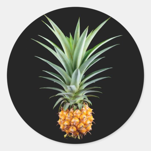 Ananas mit großen Haaren auf schwarzem Hintergrund Runder Aufkleber (Vorderseite)