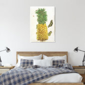Ananas mit Raupe und Schmetterlingen (handc Leinwanddruck (Insitu (Schlafzimmer))
