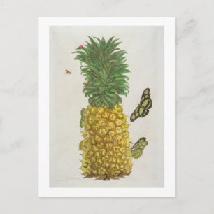 Ananas mit Raupe und Schmetterlingen (handc Postkarte