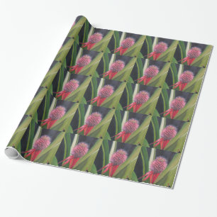 ANANAS Packpapier