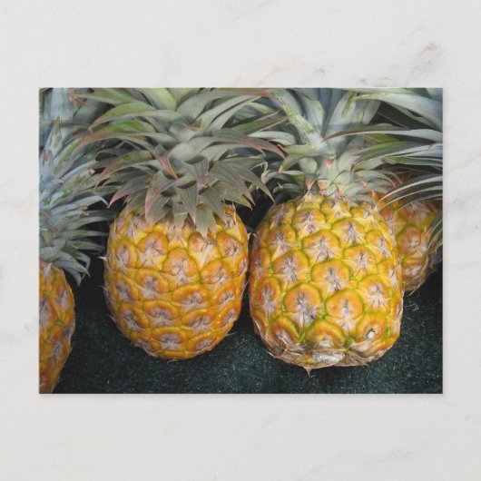 Ananas-Paradies Postkarte (Vorderseite)