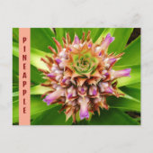 Ananas-Pflanze Botanische Fotografie Postkarte (Vorderseite)