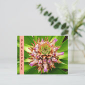 Ananas-Pflanze Botanische Fotografie Postkarte (Stehend Vorderseite)