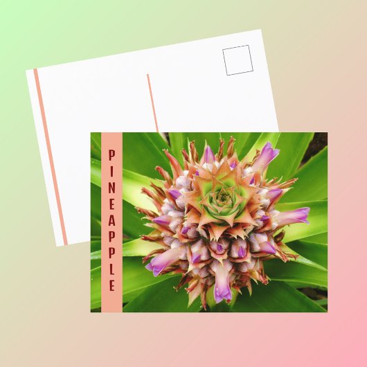 Ananas-Pflanze Botanische Fotografie Postkarte