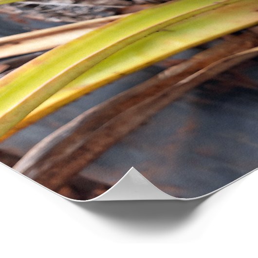 Ananas-Pflanze-Poster Poster (Ecke)