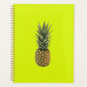 Ananas Planer (Vorderseite)