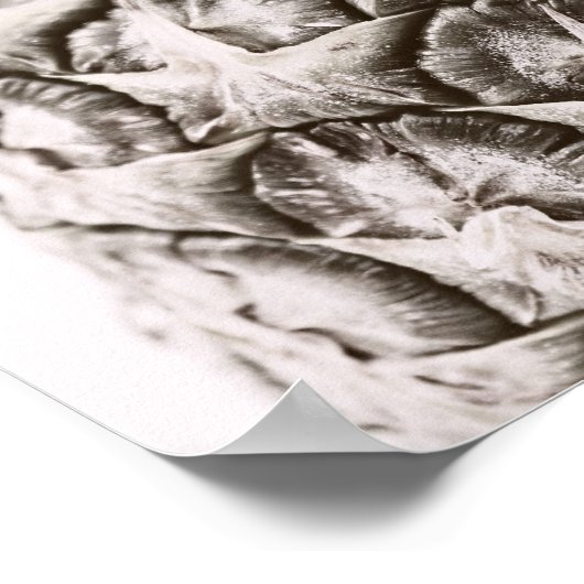 Ananas Poster (Ecke)