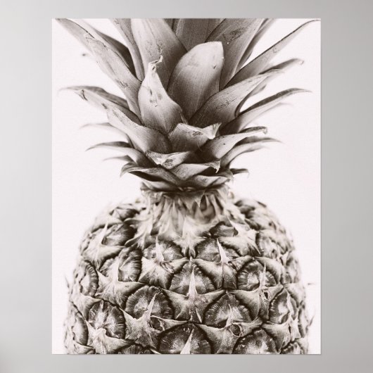 Ananas Poster (Vorne)