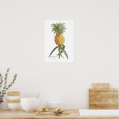 Ananas Poster (Küche)