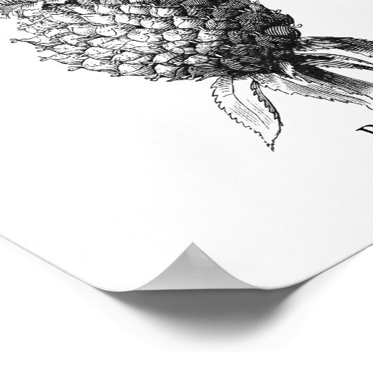 Ananas Poster (Ecke)