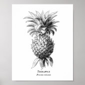 Ananas Poster (Vorne)