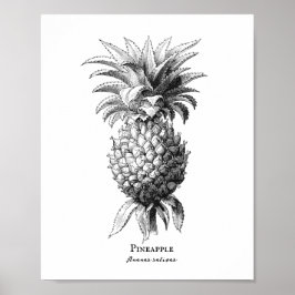 Ananas Poster