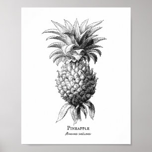 Ananas Poster