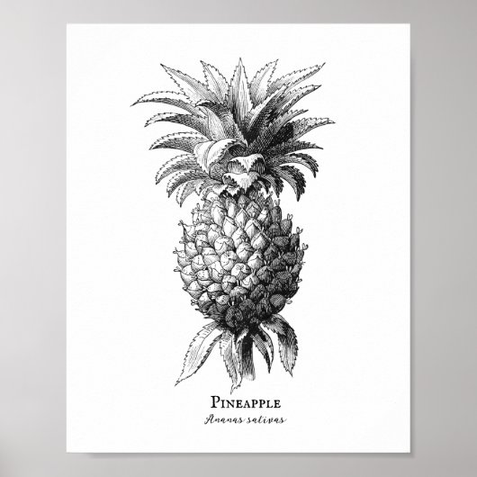 Ananas Poster (Vorne)