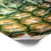 Ananas-Poster Poster (Ecke)