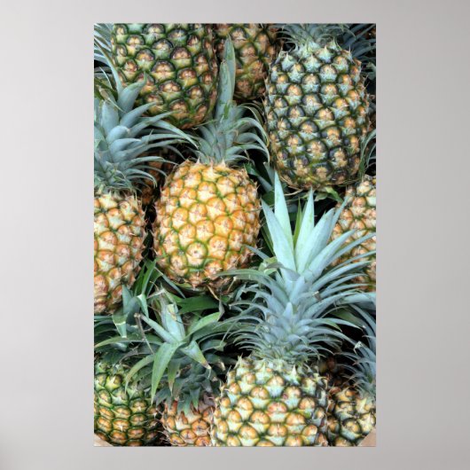 Ananas-Poster Poster (Vorne)
