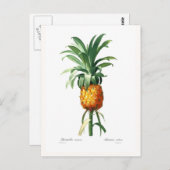 Ananas Postkarte (Vorne/Hinten)