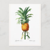 Ananas Postkarte (Vorderseite)