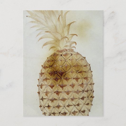 Ananas Postkarte (Vorderseite)